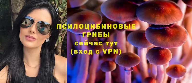 Галлюциногенные грибы MAGIC MUSHROOMS  как найти закладки  Ленинск 